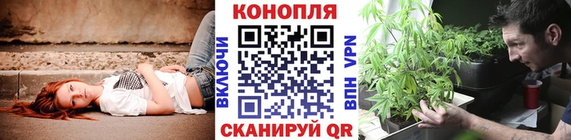 Бошки марихуана сатива  это формула  Александровск 